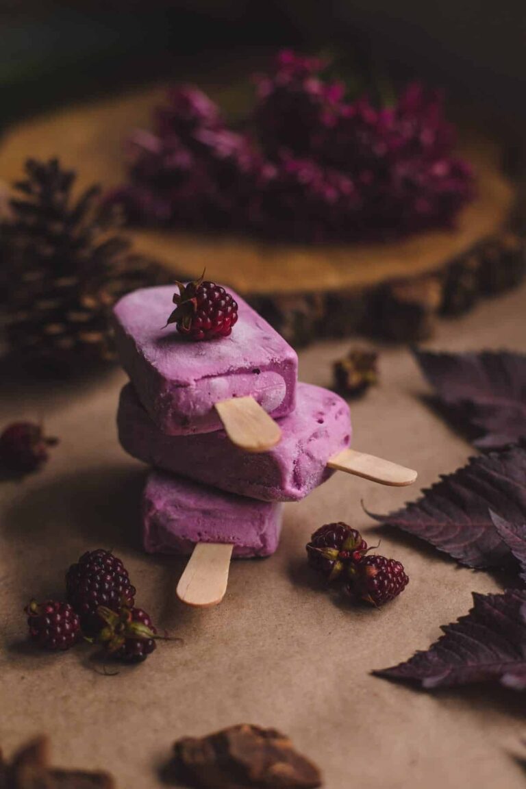 Elderberry Popsicles